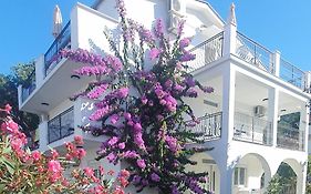 Apartments Prova ****